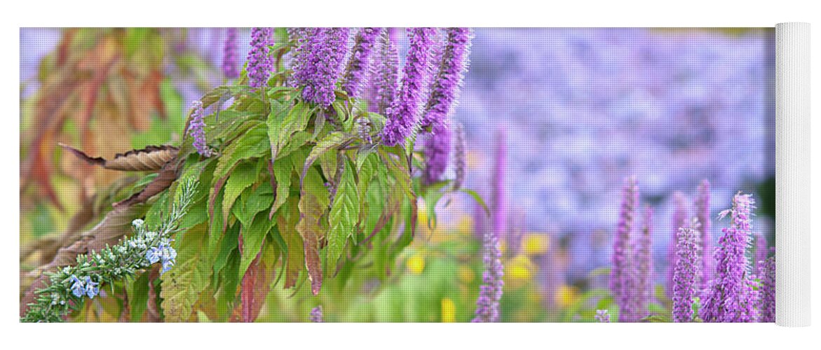 Jenny Rainbow Fine Art Photography Yoga Mat featuring the photograph Autumn Garden with Purple Blooms of Chinese Mint Shrub 5 by Jenny Rainbow
