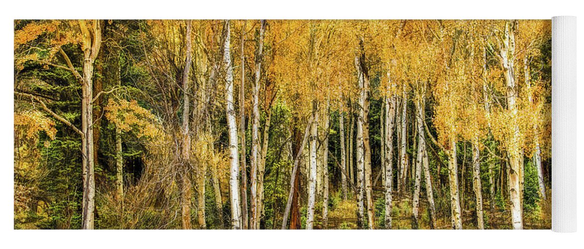 Wyoming Yoga Mat featuring the photograph Autumn Gold by Marcy Wielfaert