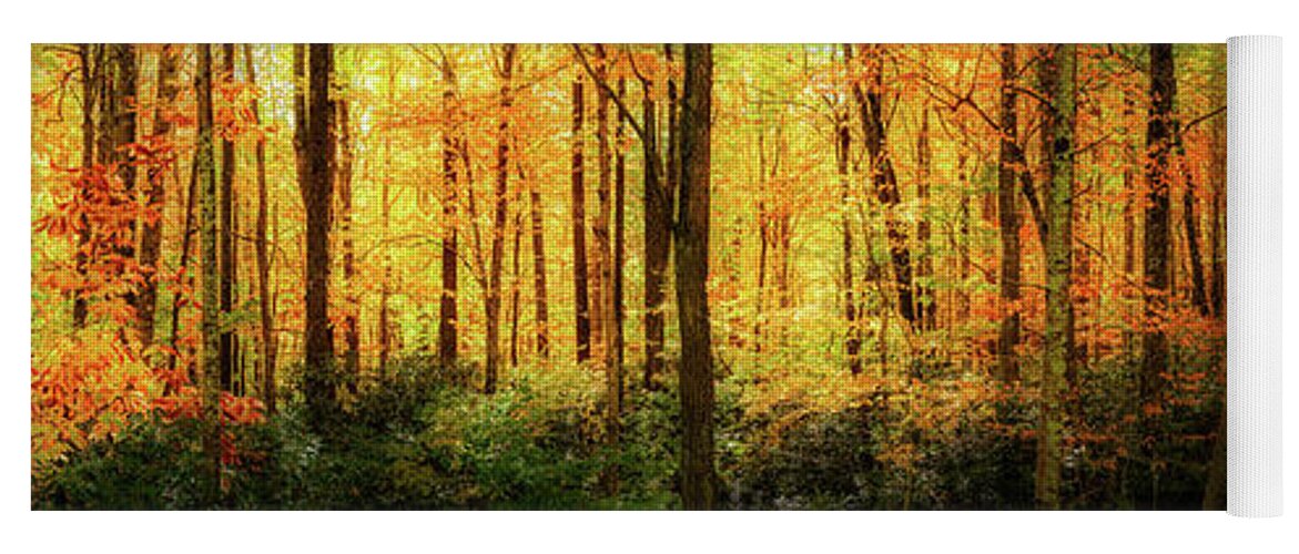 Fall Yoga Mat featuring the photograph Autumn Gold Trees Aplenty by Dan Carmichael