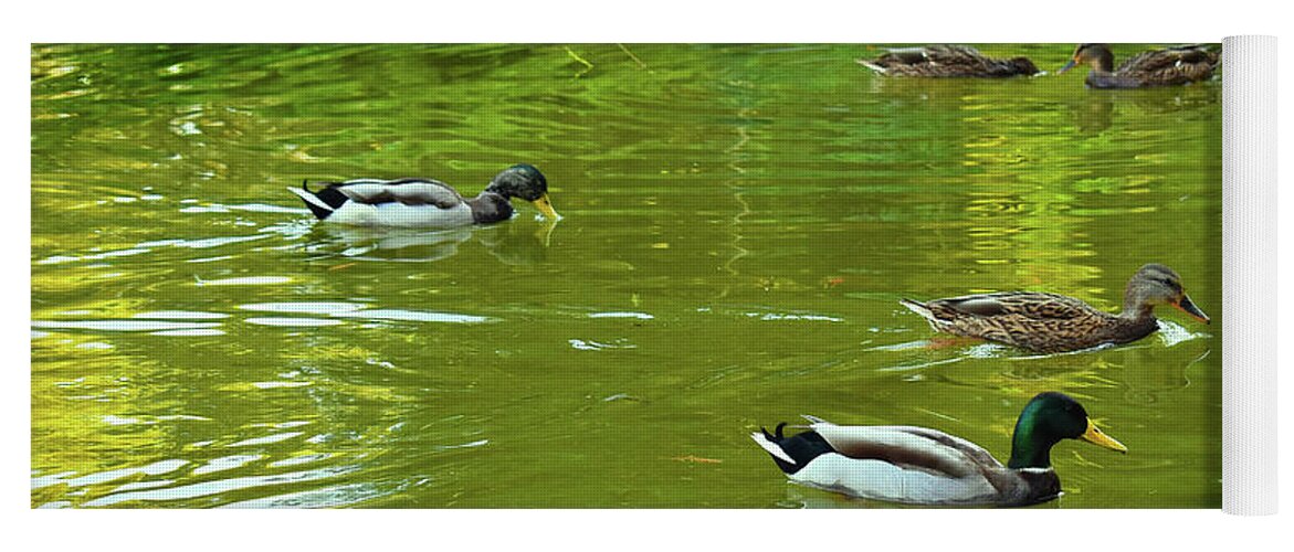 Nature Yoga Mat featuring the photograph Autumn Harmony of Ducks Lake by Leonida Arte