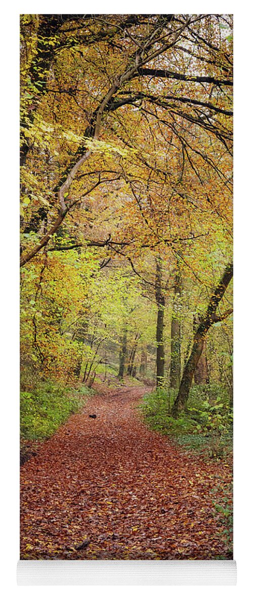 Cardiff Yoga Mat featuring the photograph Autumn, in a nutshell by Gavin Lewis