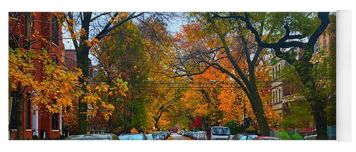 500 Views Yoga Mat featuring the photograph Autumn in Chicago by Jenny Revitz Soper