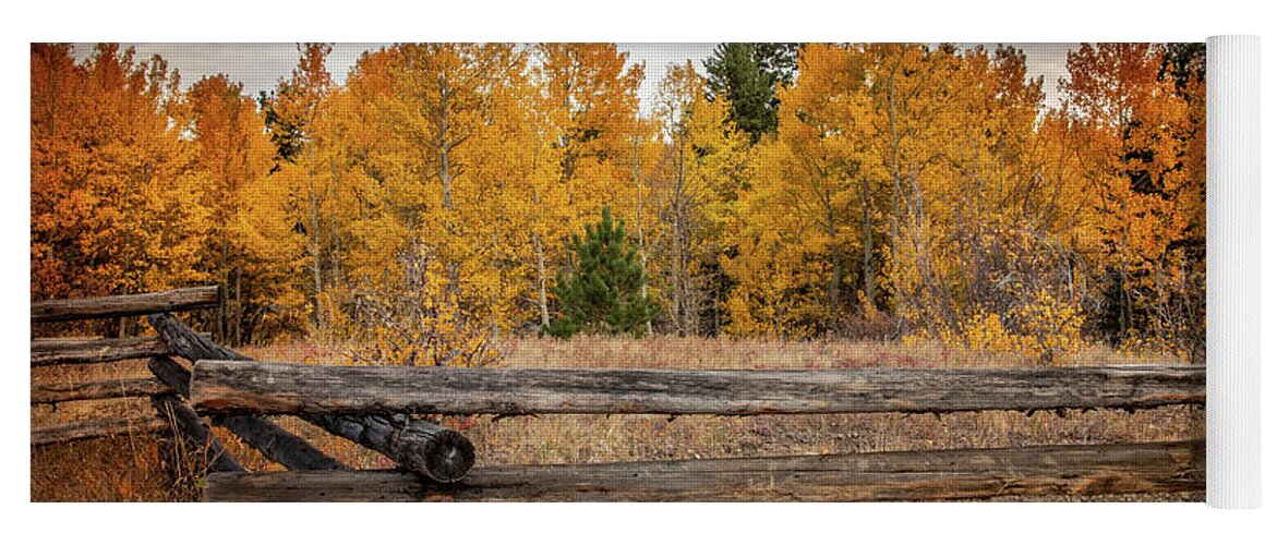 Colorado Yoga Mat featuring the photograph Autumn in Colorado by Kevin Schwalbe