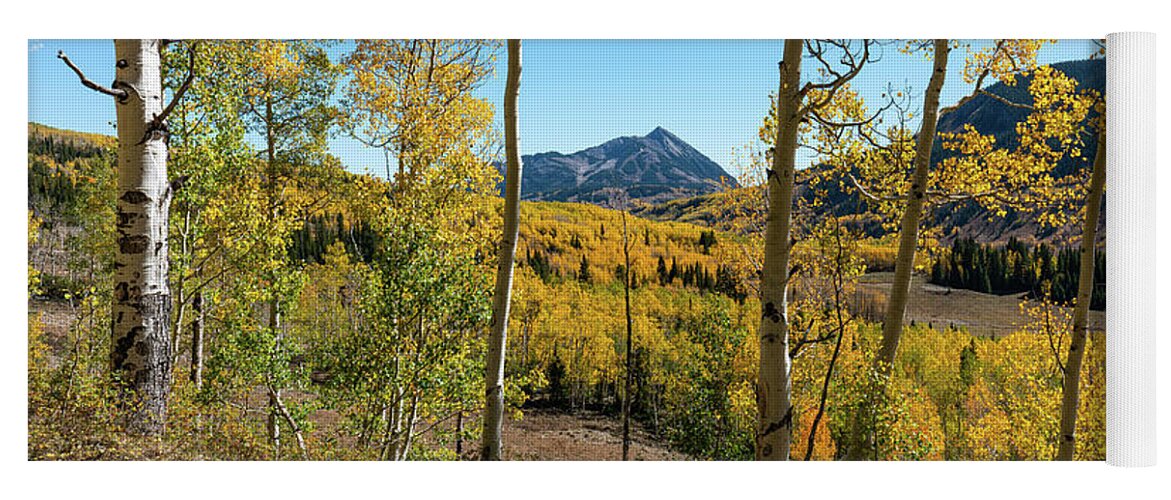 Aspens Yoga Mat featuring the photograph Autumn in Gothic Valley 5 by Ron Long Ltd Photography