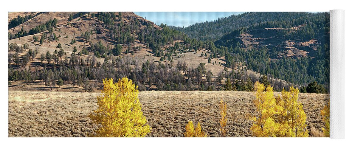 Wyoming Yoga Mat featuring the photograph Autumn in Lamar Valley by Steve Stuller