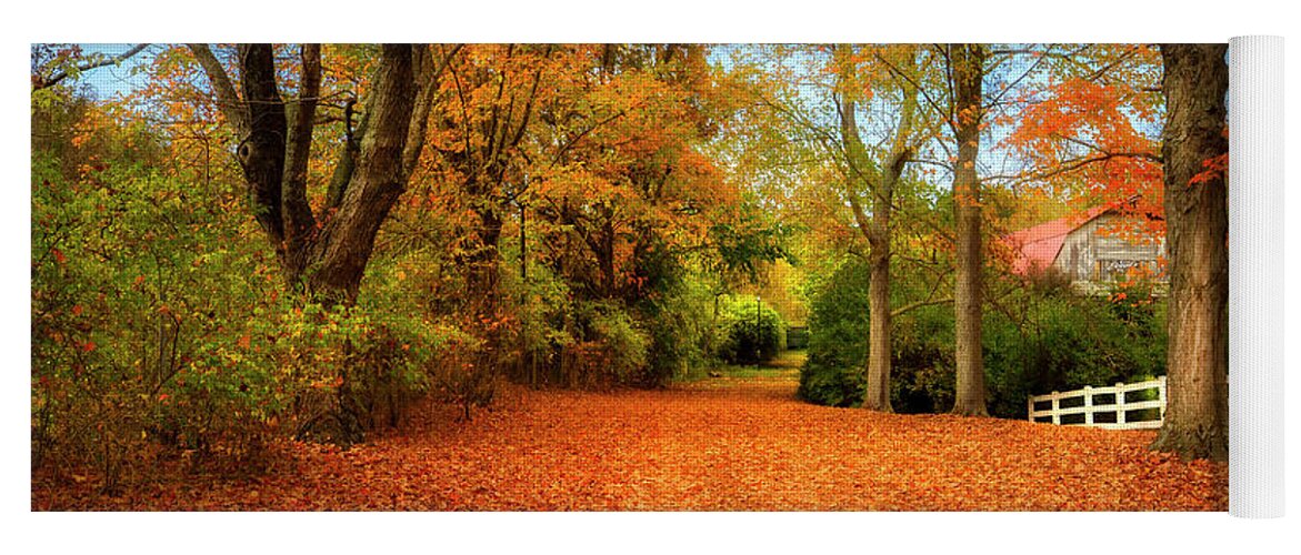 Autumn Yoga Mat featuring the photograph Autumn in the Country by Shelia Hunt