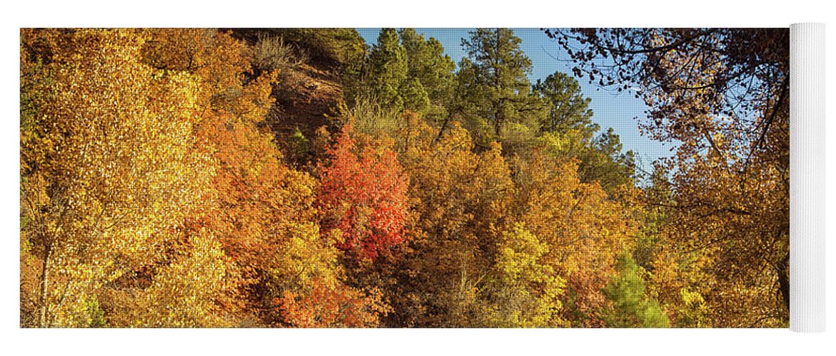 Kolob Canyon Yoga Mat featuring the photograph Autumn in Zion by Kunal Mehra