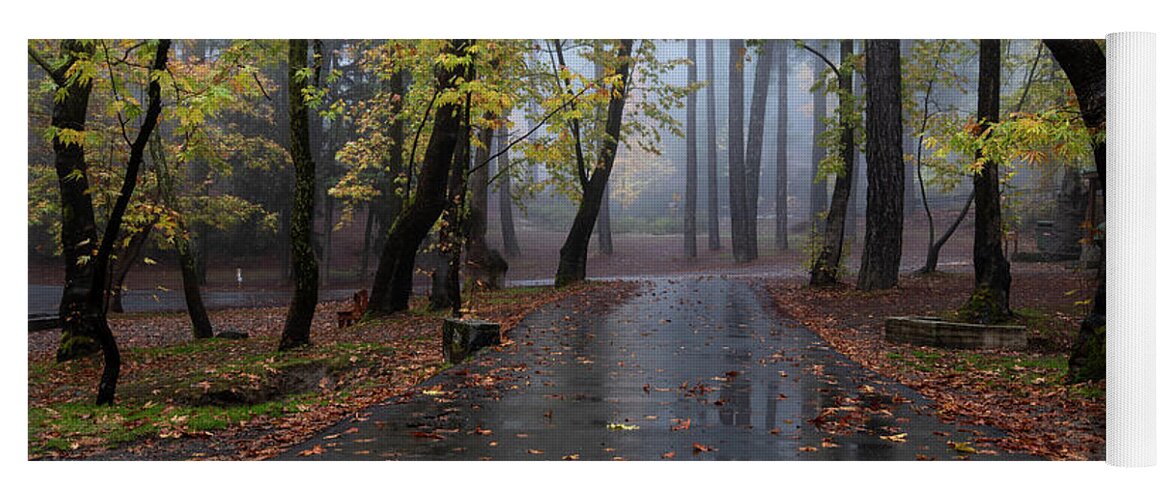 Fog Yoga Mat featuring the photograph Autumn landscape maple trees and autumn leaves on the ground after rain. by Michalakis Ppalis