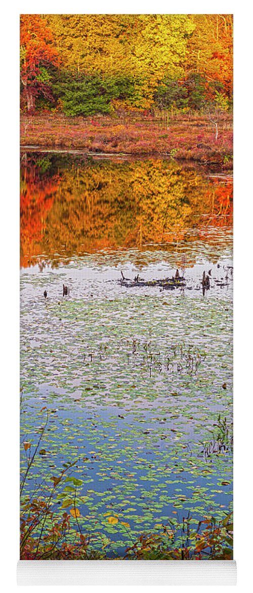 Pond Yoga Mat featuring the photograph Autumn Layers by Angelo Marcialis