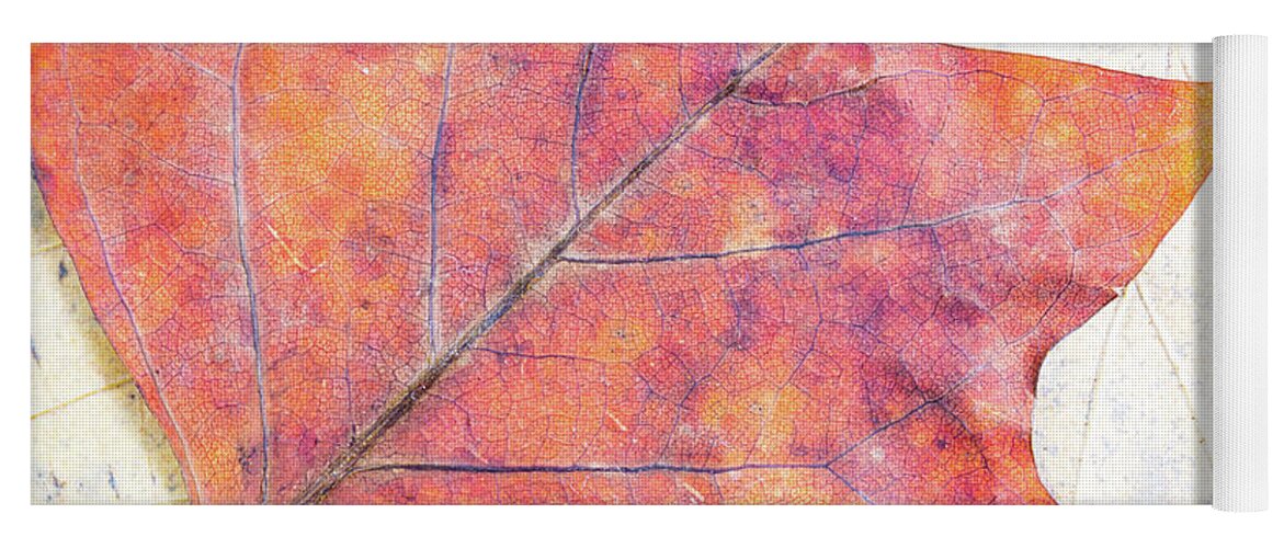 Autumn Yoga Mat featuring the photograph Autumn leaves composition by Viktor Wallon-Hars