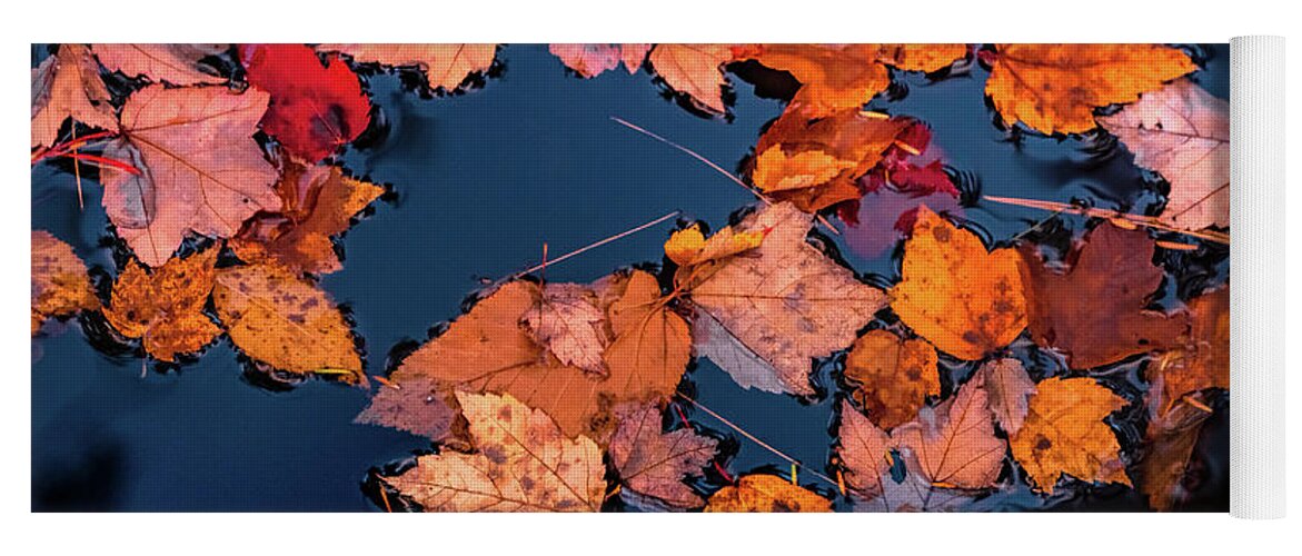 Fallen Autumn Leaves Yoga Mat featuring the photograph Autumn leaves in the blue water by Lilia S
