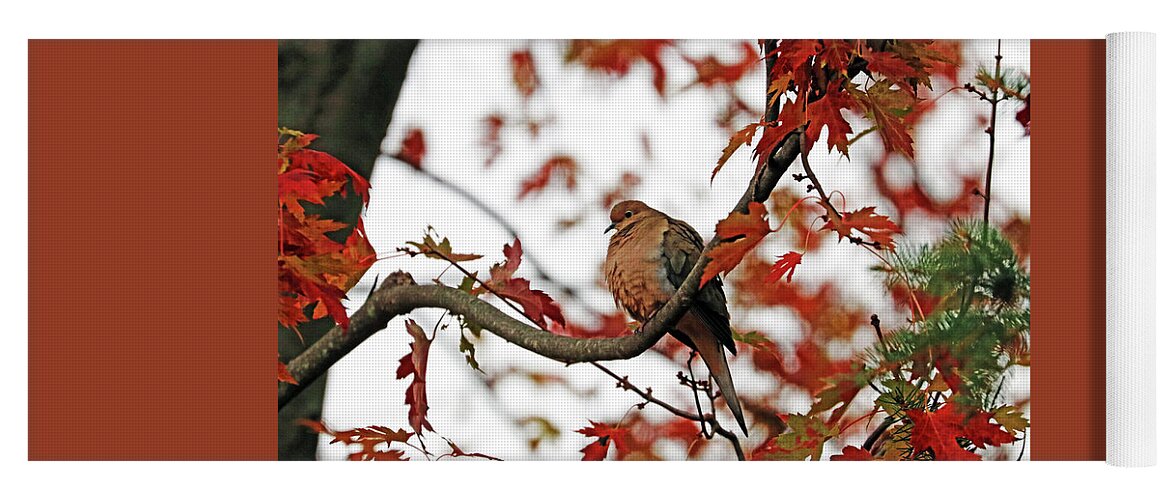 Dove Yoga Mat featuring the photograph Autumn Mourning Dove by Debbie Oppermann