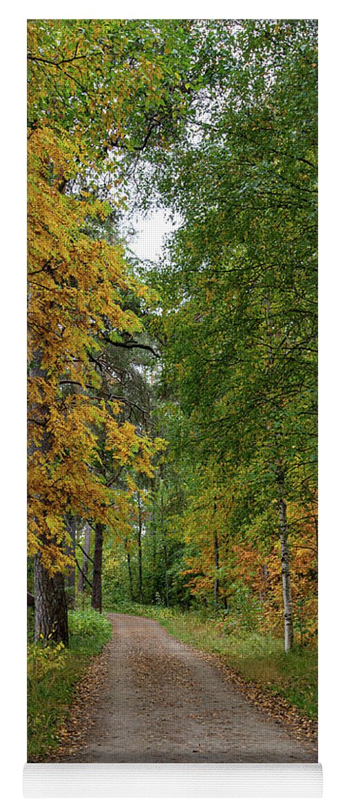 Autumn Yoga Mat featuring the photograph Autumn season forest landscape by Michalakis Ppalis