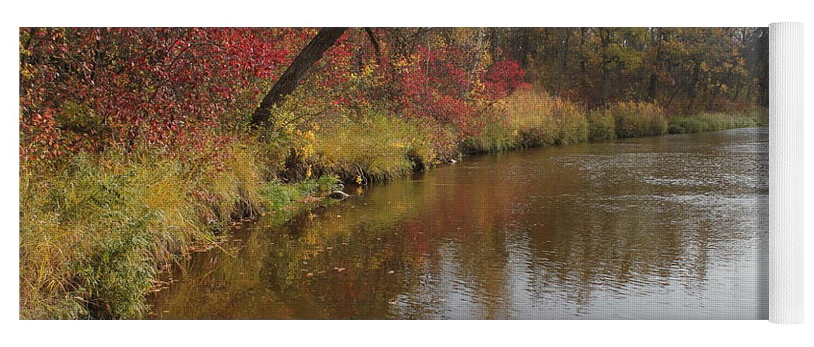 Fall Colours Yoga Mat featuring the photograph Autumn Shores by Ruth Kamenev
