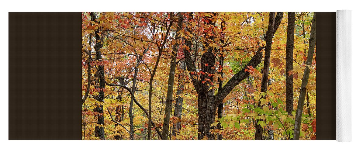 Autumn Splendor Yoga Mat by Cascade Colors - Fine Art America