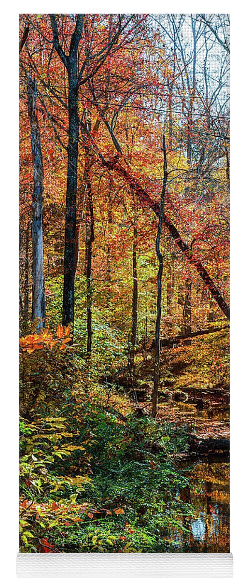 Autumn Yoga Mat featuring the digital art Autumn Stream Reflections by Linda Ritlinger