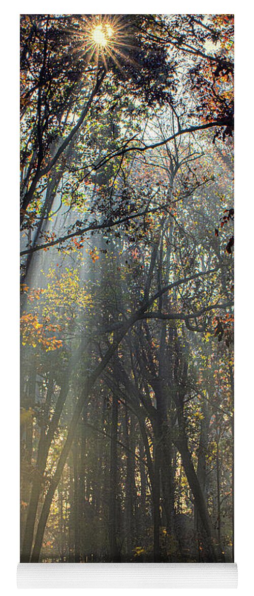  Yoga Mat featuring the photograph Autumn Sunbeams by Douglas Wielfaert