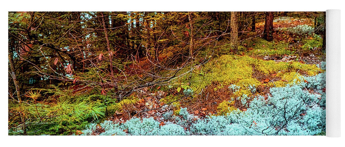 Foliage Yoga Mat featuring the photograph Autumn woods moss by Lilia S