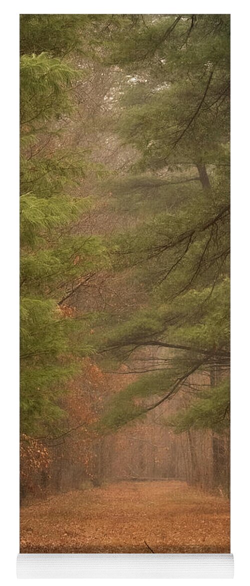 Fall Yoga Mat featuring the photograph Autumn's Whisper by Forest Floor Photography