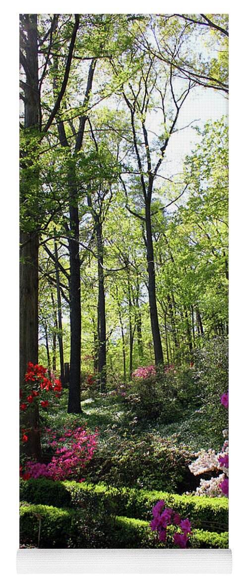 Arboredum Yoga Mat featuring the photograph Azaleas in the Garden6519 by Carolyn Stagger Cokley