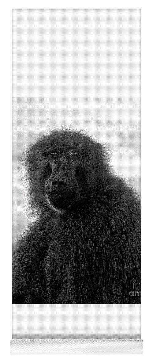 Baboon Yoga Mat featuring the photograph Selfie Portrait Baboon by Doc Braham