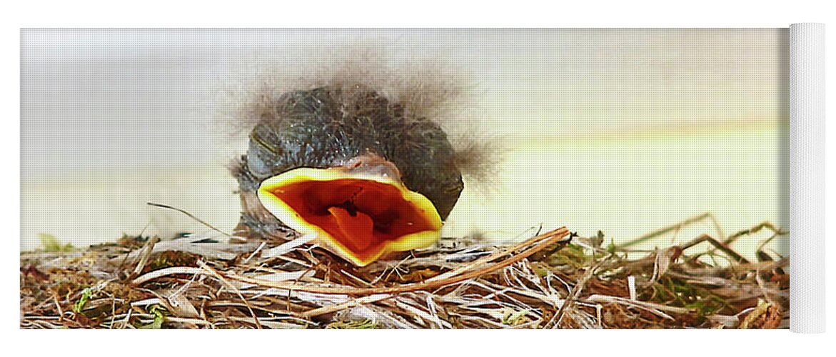Bird Yoga Mat featuring the photograph Baby Bird by Natalie Rotman Cote