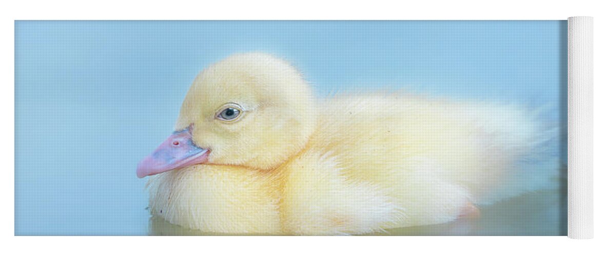 Yellow Duckling Yoga Mat featuring the photograph Baby Duckling by Jordan Hill