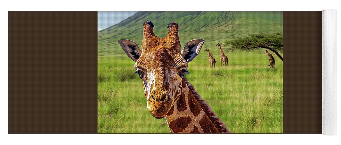 Sedona Yoga Mat featuring the photograph Baby Giraffe by Al Judge