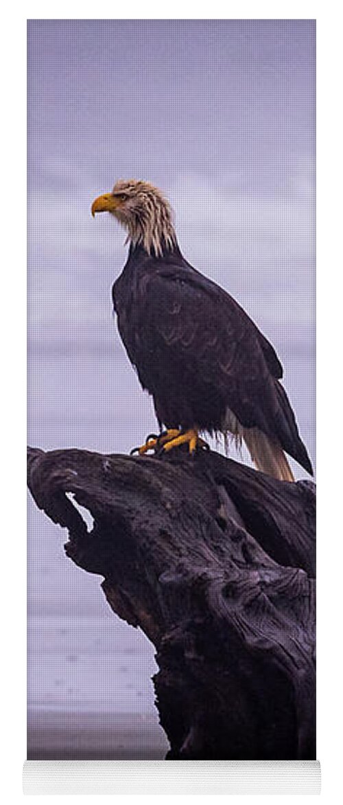 Bald Eagle Yoga Mat featuring the photograph Bad Hair Day by Stephen Sloan