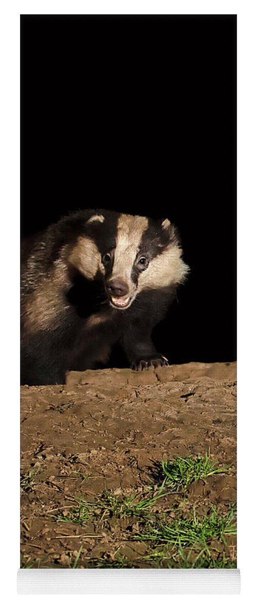European Badger Yoga Mat featuring the photograph Badger by Louise Heusinkveld