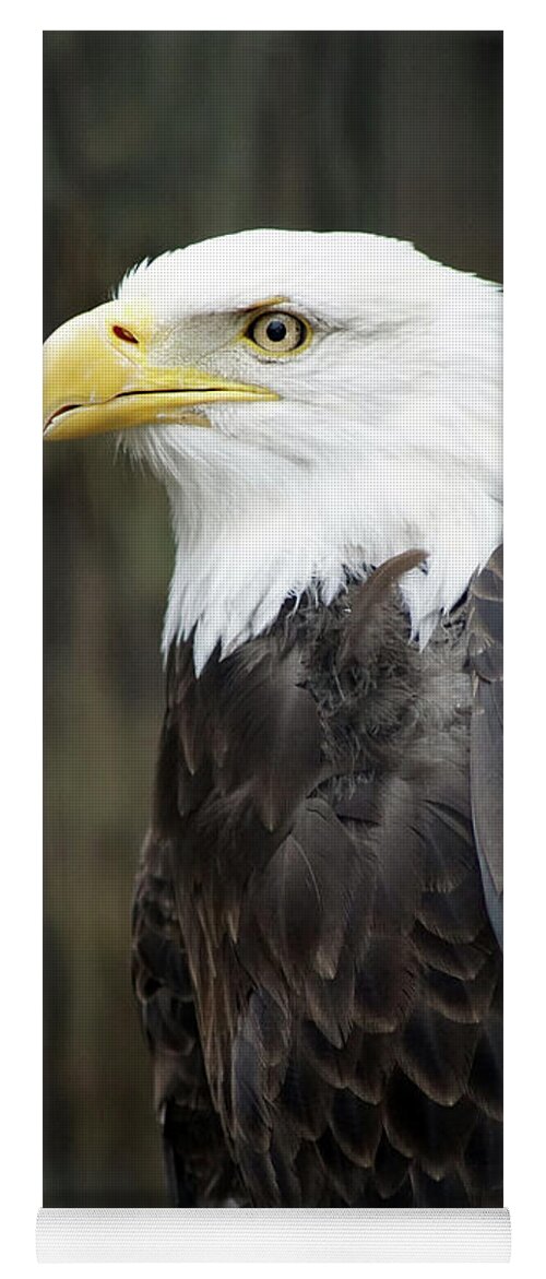 Bald Eagle Yoga Mat featuring the photograph Bald Eagle #2 by Ben Upham III