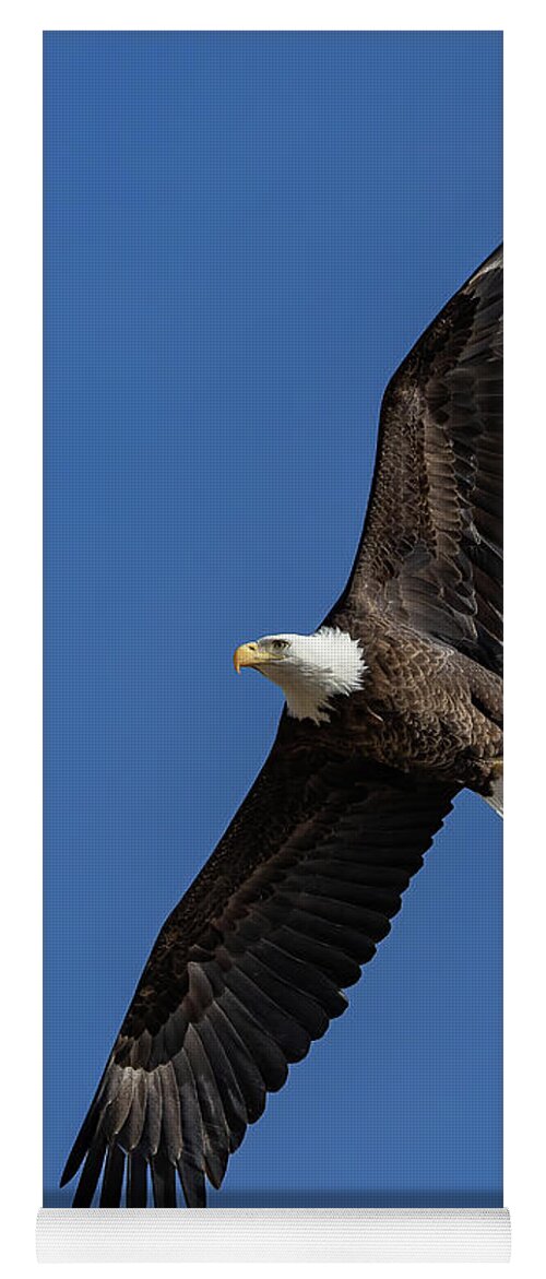 Bald Eagle Yoga Mat featuring the photograph Bald Eagle Flyby Portrait by Tony Hake