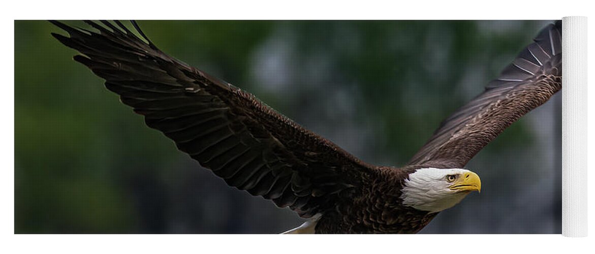 Animal Yoga Mat featuring the photograph Bald Eagle with fish by Brian Shoemaker