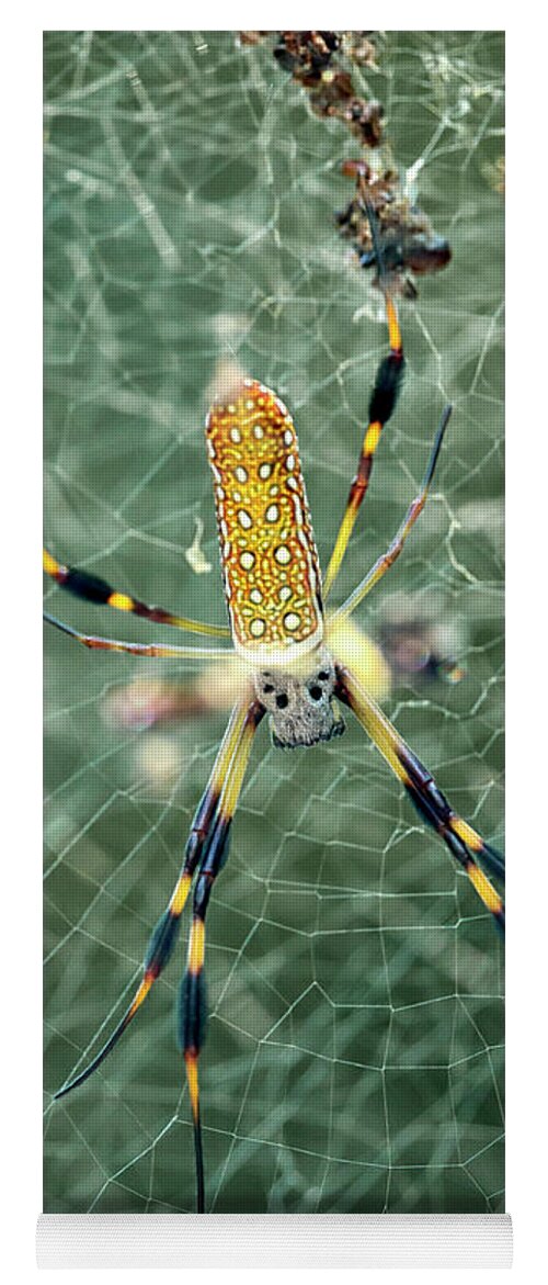 Banana Yoga Mat featuring the photograph Banana Spider by Travis Rogers