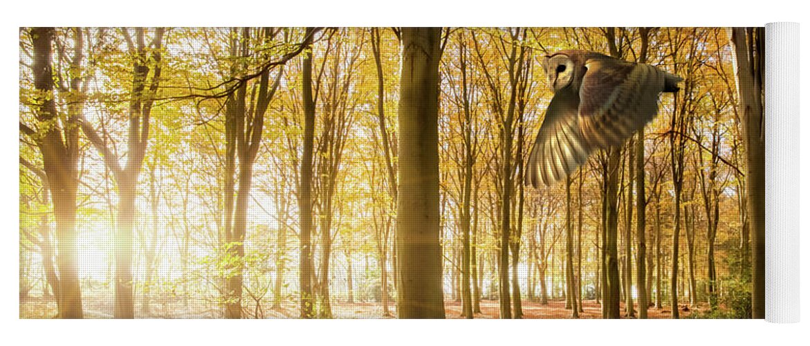 Autumn Yoga Mat featuring the photograph Barn owl flying in autumn woodland by Simon Bratt