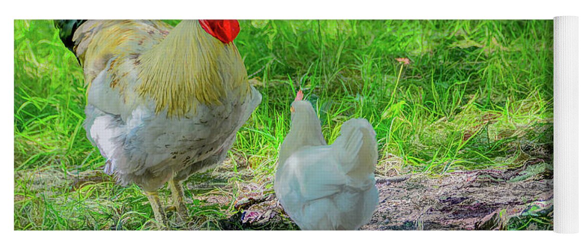 Chicken Yoga Mat featuring the photograph Barnyard Chatter by Marcy Wielfaert