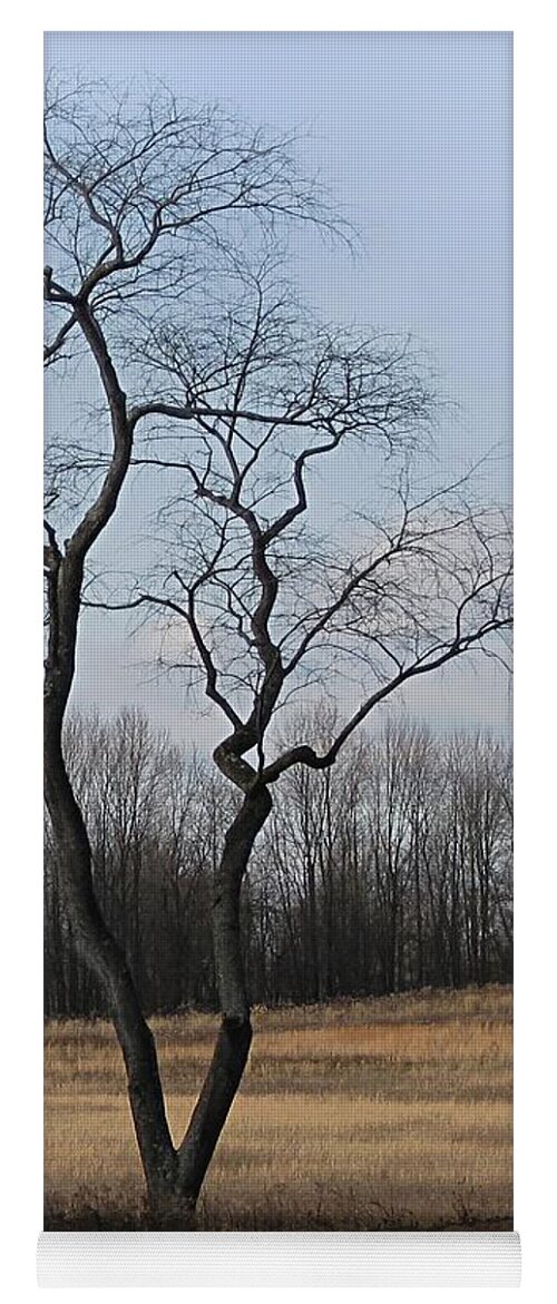 Pennsbury Township Yoga Mat featuring the photograph Barren Beauty by Gordon Beck