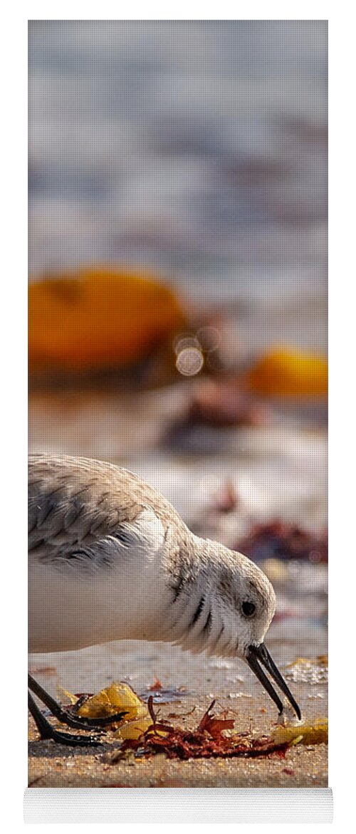 Shore Bird Yoga Mat featuring the photograph Beach Salad by Linda Bonaccorsi
