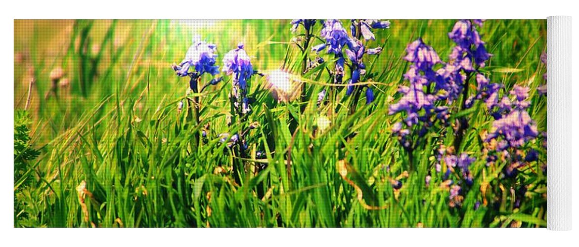 Bluebells Yoga Mat featuring the photograph Beams On Bluebells by Kimberly Furey