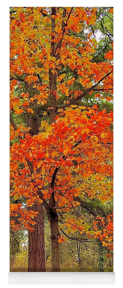 Beautiful Autumn Yoga Mat featuring the photograph Beautiful Autumn by Nancy Merkle
