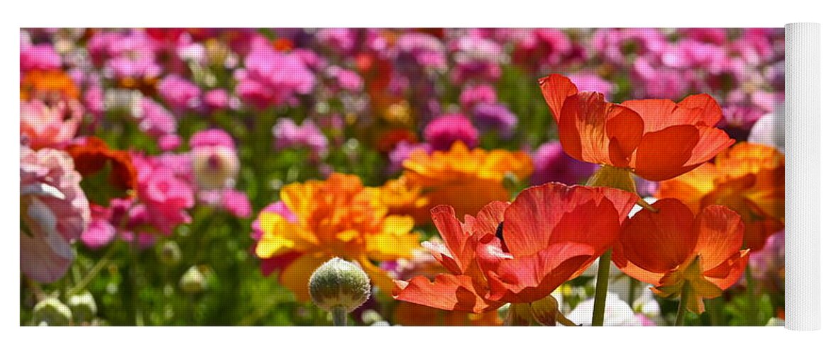 Flowers Yoga Mat featuring the photograph Beautiful Spring Flowers by Rich Cruse