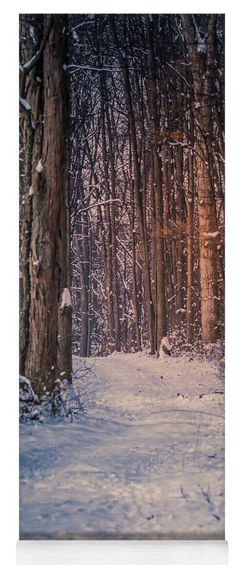 Beautiful Winter Path In The Forest Yoga Mat featuring the photograph Beautiful Winter Path In The Forest by Dan Sproul