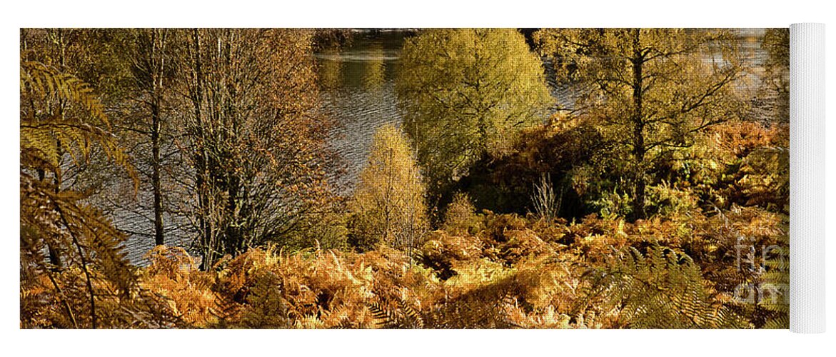 Beauty Golden Autumn Scotland River Landscape Beautiful Trees Leaves Woods Woodland Wonderland Reflections Rich Yellow Pleasant Delightful Magnificent Panorama Mindfulness Artistic Serenity Inspirational Serene Tranquil Tranquillity Stylish Magic Poetic Striking Charming Atmospheric Aesthetic Attractive Picturesque Scenery Glorious Impression Impressionistic Impressive Stunning Fabulous Thrilling Pleasing Stimulating Magical Color Vivid Bright Gold Calm Relaxing Delicate Rusty Fiery Bracken Fall Yoga Mat featuring the photograph BEAUTY OF GOLDEN AUTUMN Scotland, river Glen Affric, Highlands by Tatiana Bogracheva