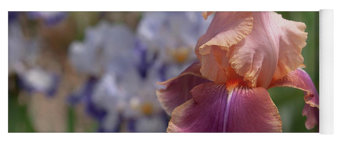Jenny Rainbow Fine Art Photography Yoga Mat featuring the photograph Beauty Of Irises. Carnaby by Jenny Rainbow