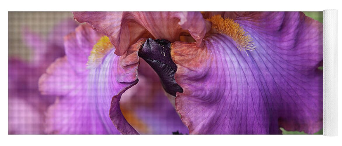 Jenny Rainbow Fine Art Photography Yoga Mat featuring the photograph Beauty of Irises. Cranberry Ice Closeup by Jenny Rainbow