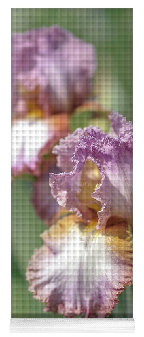 Jenny Rainbow Fine Art Photography Yoga Mat featuring the photograph Beauty Of Irises. Funny Bird 1 by Jenny Rainbow