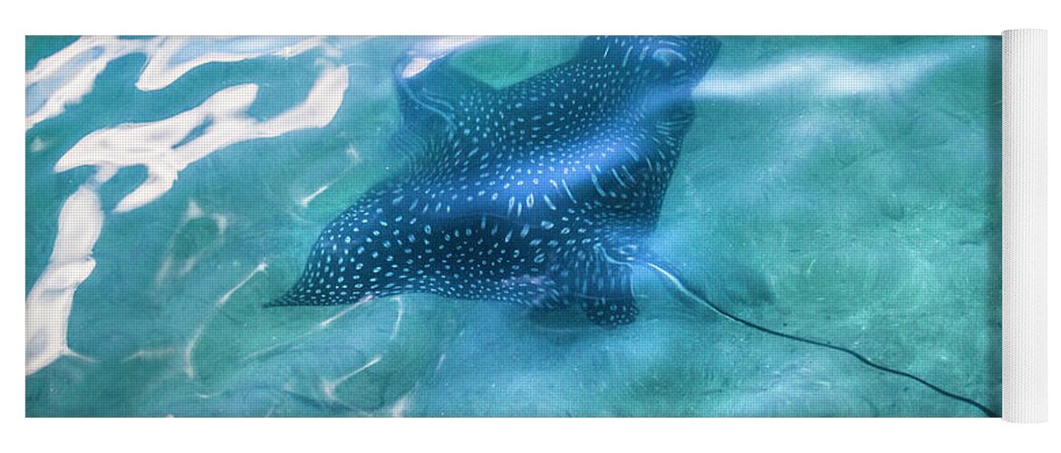 Fishing Yoga Mat featuring the photograph Beauty Underwater by Debra and Dave Vanderlaan