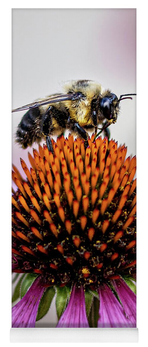 Bee Yoga Mat featuring the photograph Bee claiming the flower by Rick Nelson