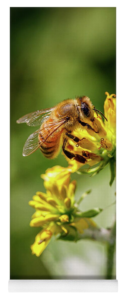 Bee Yoga Mat featuring the photograph Bee by David Beechum