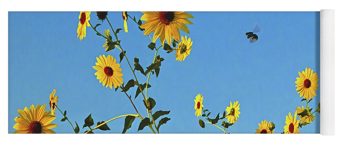 Bee Yoga Mat featuring the photograph Bee Leave In Summer, Sunflowers, The Happy Flower by Don Schimmel